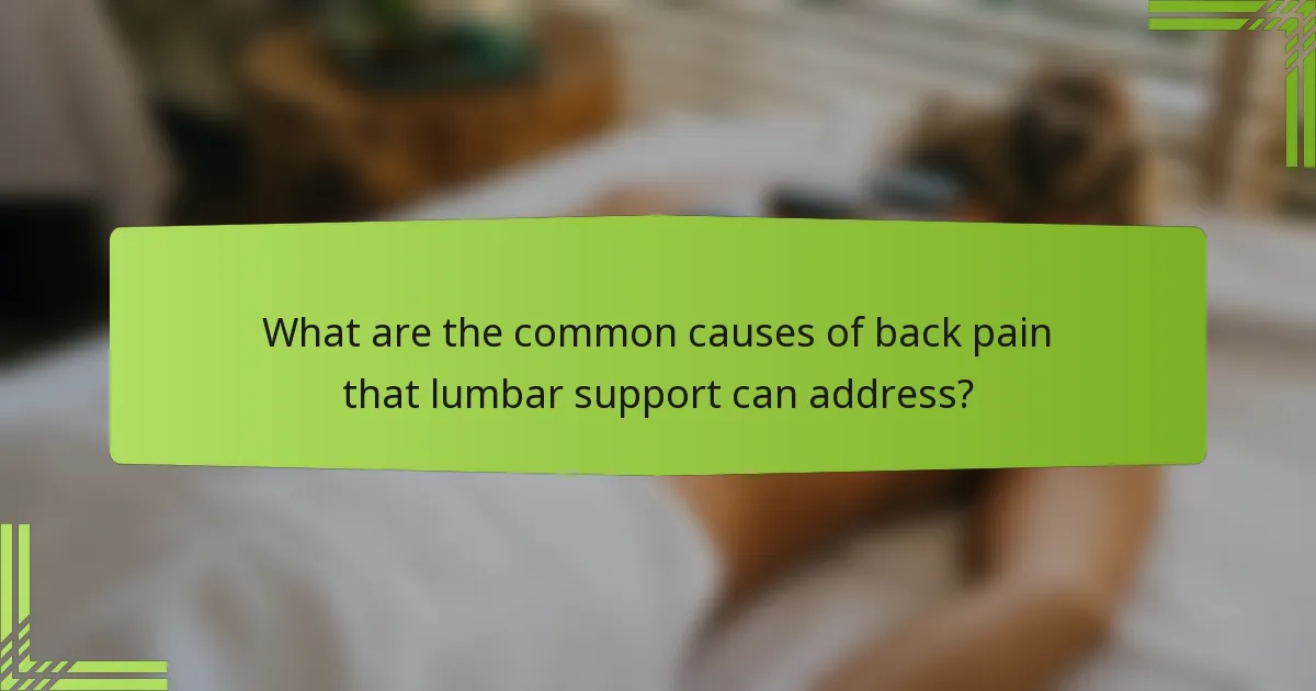 What are the common causes of back pain that lumbar support can address?