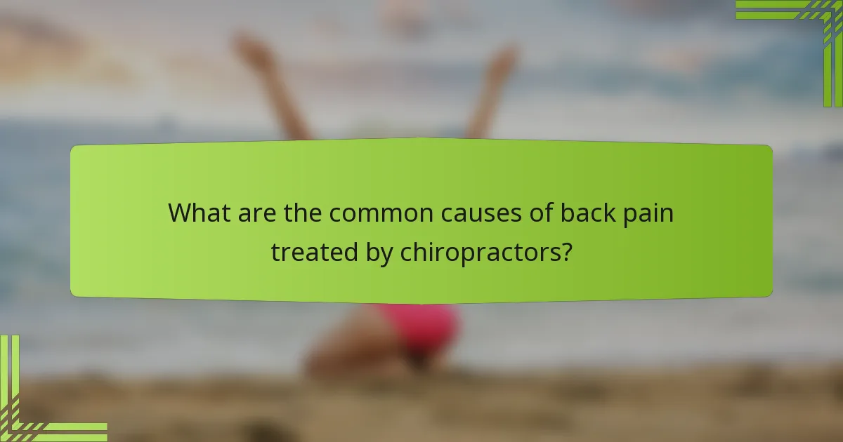 What are the common causes of back pain treated by chiropractors?