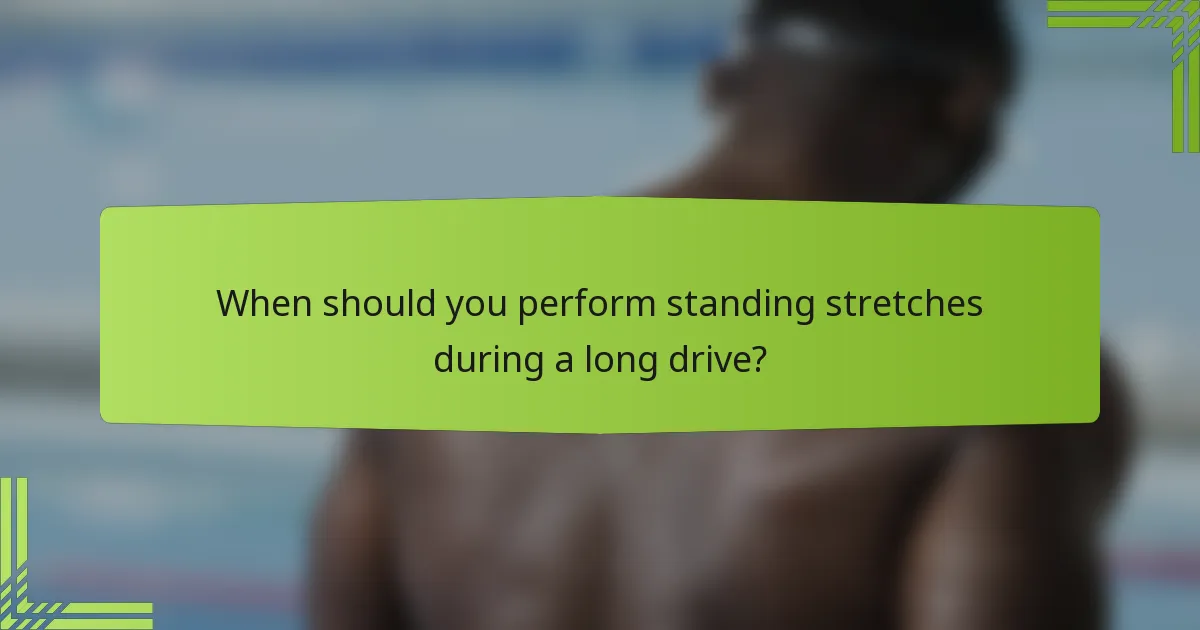 When should you perform standing stretches during a long drive?